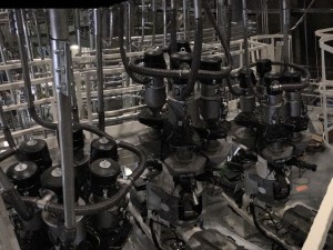 Blendo Adroit Coex 7 - DOTECO - continuos gravimetric blender